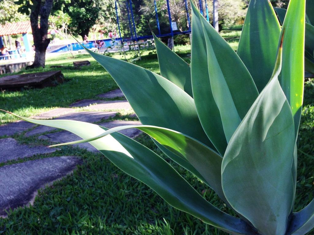 Aguas Vivas Hotel Fazenda Pirenopolis Bagian luar foto