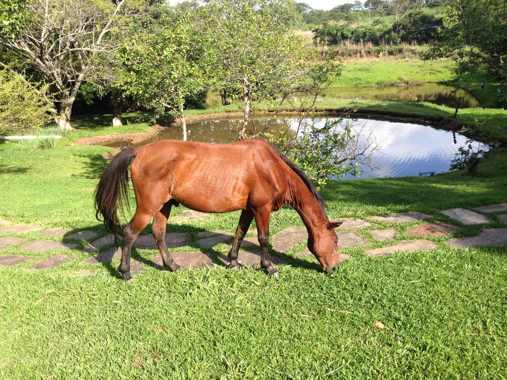Aguas Vivas Hotel Fazenda Pirenopolis Bagian luar foto